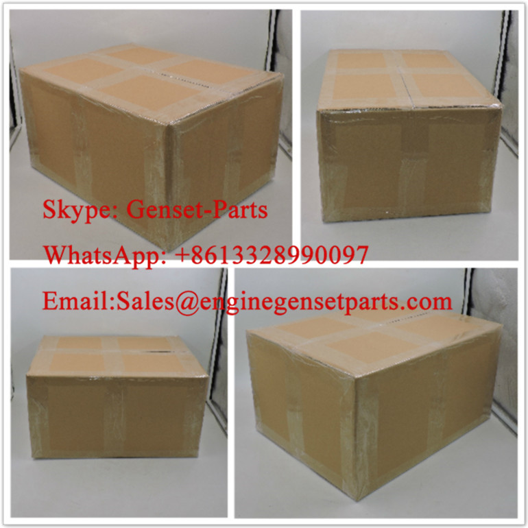 Embalaje exterior Donaldson P544432 Air Filter Outer Packing