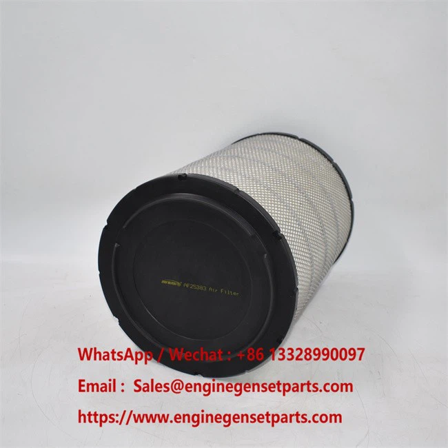 AF25383 Air Filter AF25383 Air Filter