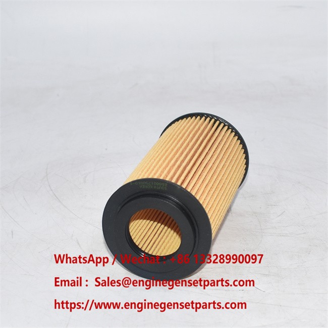 ED0021750010S Oil Filter ED0021750010S Oil Filter