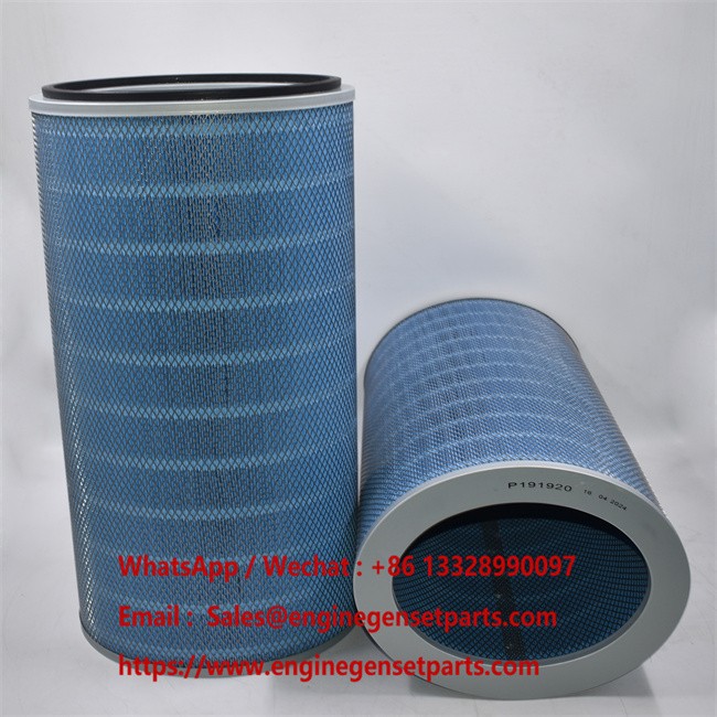P191920 Air Filter P191920 Air Filter