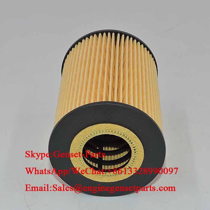 Dongfeng Lube Oil Filter 15209-2DB0A 152092DB0A