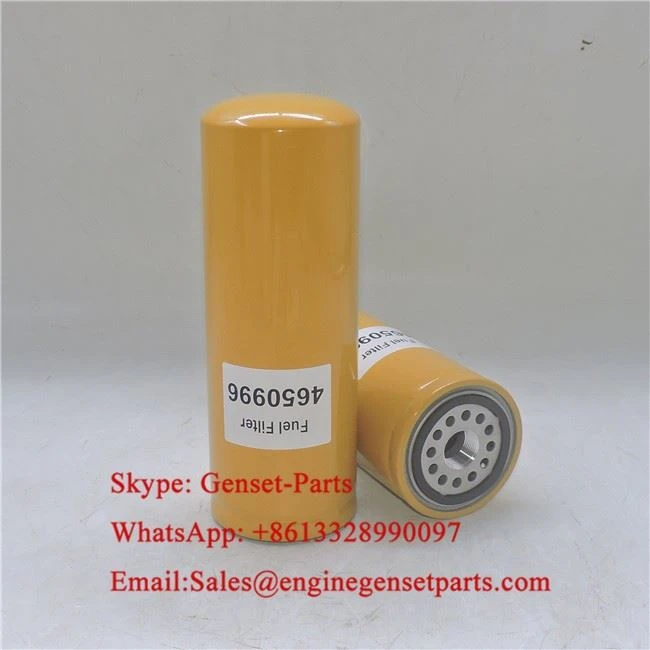4650996 Fuel Filter 4650996 Fuel Filter