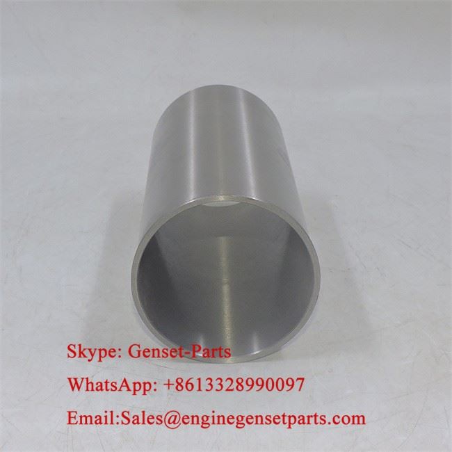 3135X041 Cylinder 3135X041 Cylinder