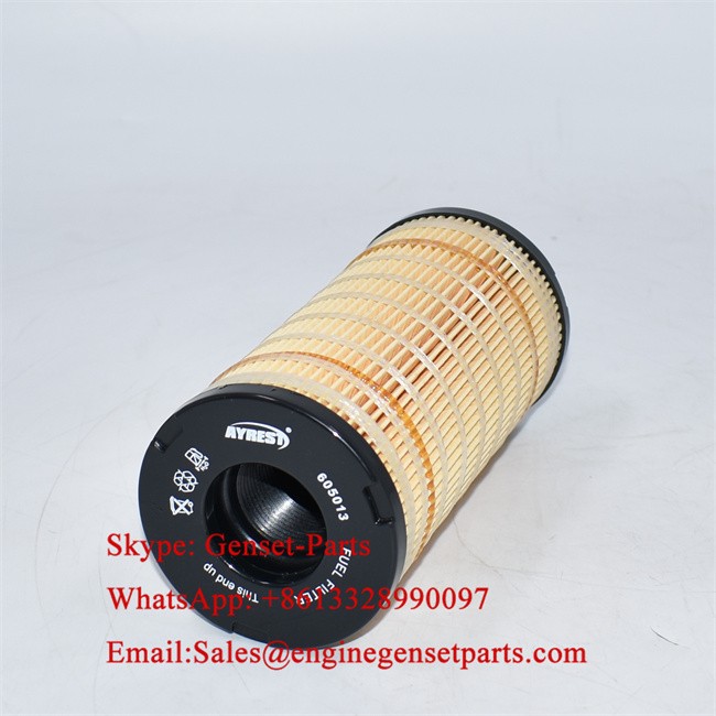 605013 OEM 605013 OEM