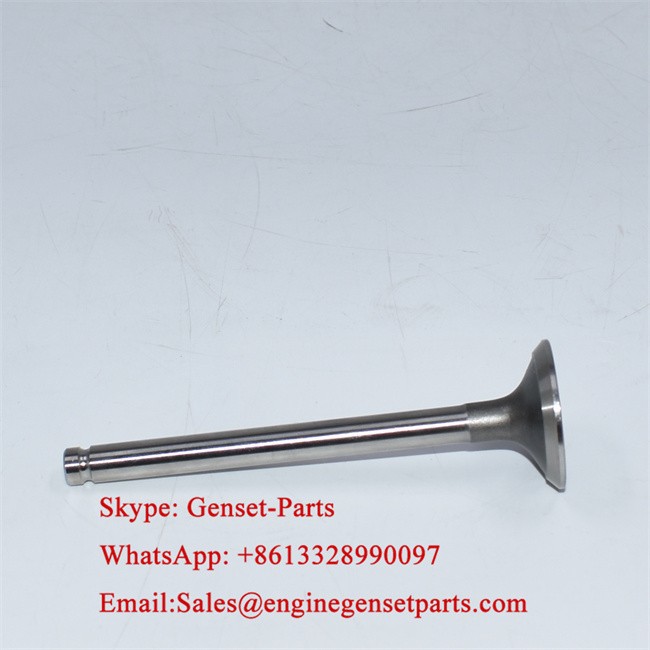 905-003 3142A051 Exhaust Valve