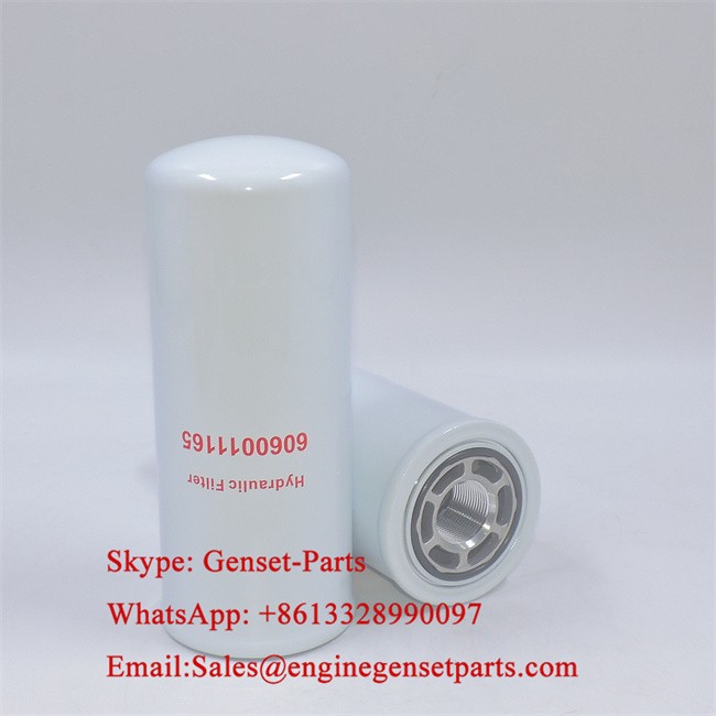 6060011165 Hydraulic Filter 6060011165 Hydraulic Filter