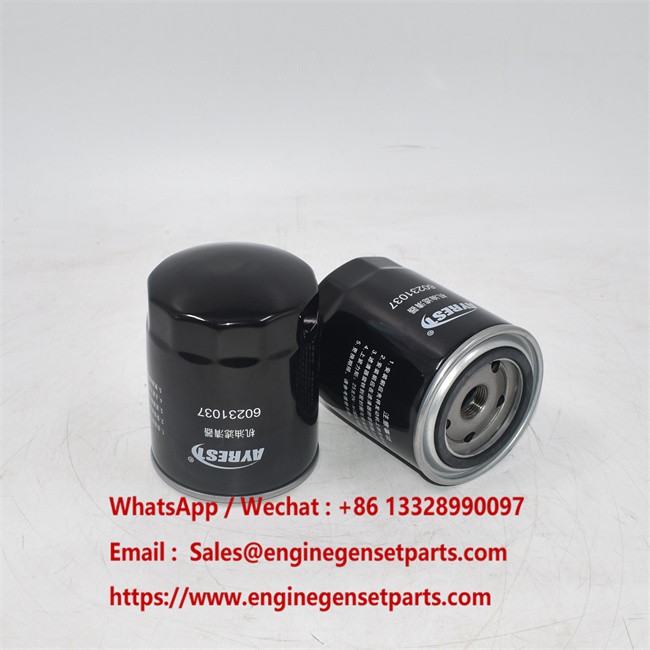 60231037 Oil Filter Exchage D03S3.14-1 CX1711068 Applied To SANYI SY60 SY65 60231037 Oil Filter Exchage D03S3.14-1 CX1711068 Applied To SANYI SY60 SY65