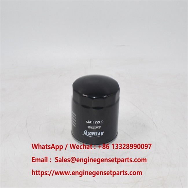 60231037 Oil Filter Exchage D03S3.14-1 CX1711068 Applied To SANYI SY60 SY65 60231037 Oil Filter Exchage D03S3.14-1 CX1711068 Applied To SANYI SY60 SY65